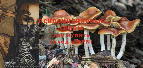 мефедрон Вяземский