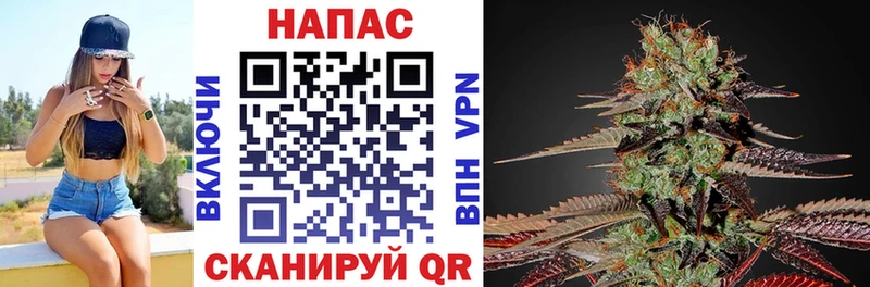 Канабис конопля  где можно купить   Кузнецк 